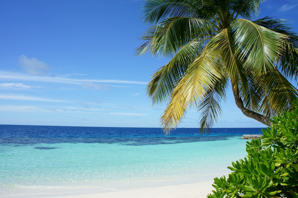 Nassau